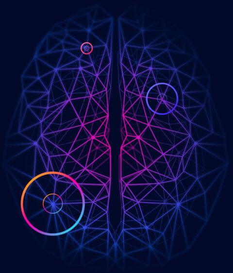 Neural network visualisation of a human brain